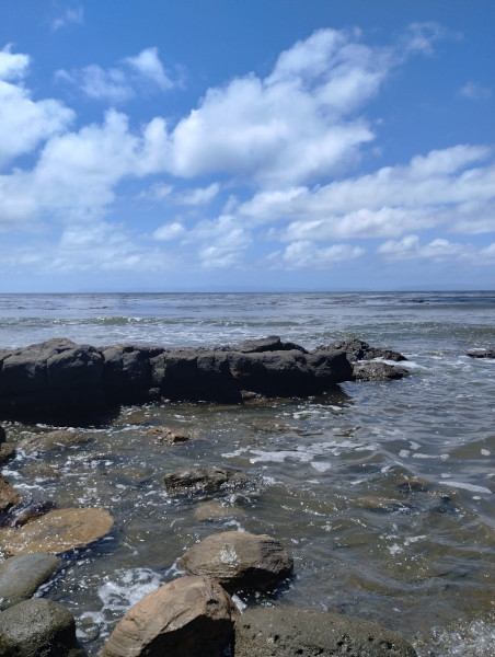 beach photo san pedro ca